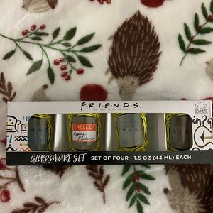 FRIENDS TV Series shot glasses 4 pc collection 📺